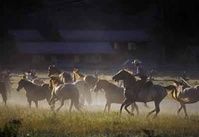 320 Guest Ranch