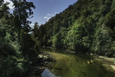 Abel Tasman Falls River, Abel Tasman N.P.