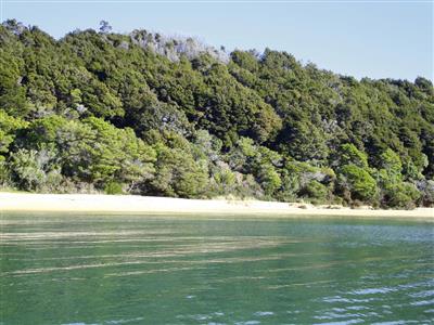 Abel Tasman National Park