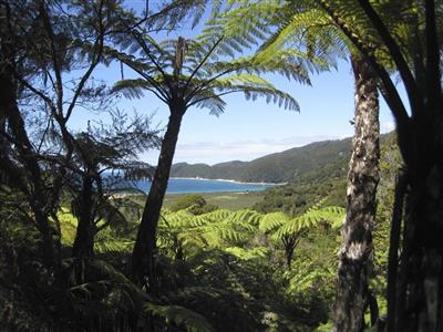 Abel Tasman National Park