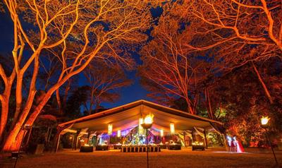 Aboriginal Cultural Experience, Flames of the Forest