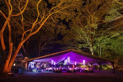 Aboriginal Cultural Experience, Flames of the Forest