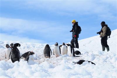 Antarctica