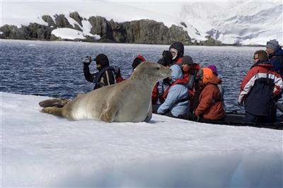 Antarctica