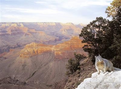 Arizona, Grand Canyon