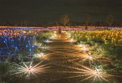 Australie, Northern Territory, Ayers Rock, Field of lights