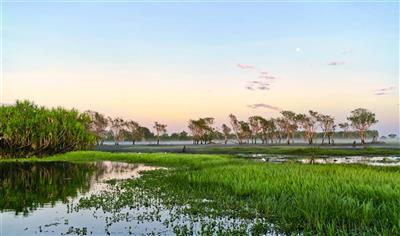 Australie, Northern Territory, Top End, Kakadu, Yellow Water billabong