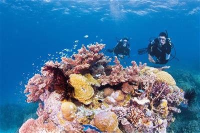 Australie, Queensland, Great Barrier Reef 