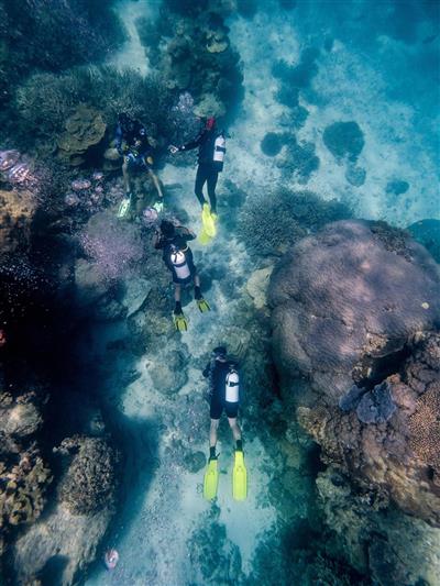 Australie, Queensland, Great Barrier Reef