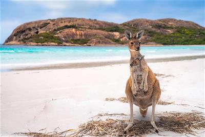 Australie, West-Australie, Esperance, Cape Le Grand N.P. Lucky Bay