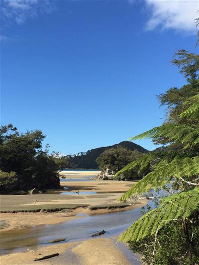 Bark Bay, Abel Tasman National Park