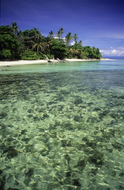 Beach Bocas del Toro