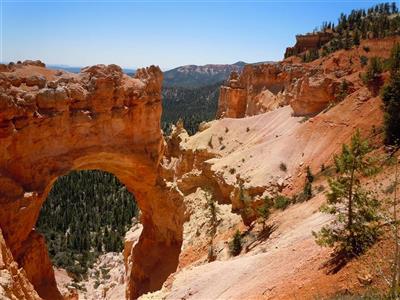 Bryce Canyon N.P.