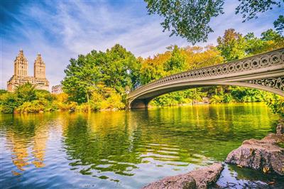 Central Park in New York City