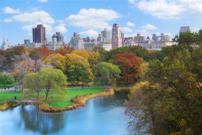 Central Park, New York