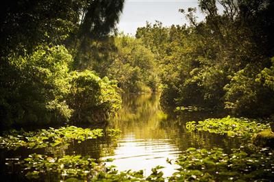 Everglades National Park, Florida