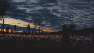 Field of Light (Bron: Tourism Australia)