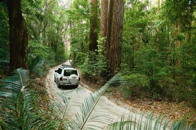 Fraser Island