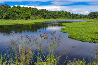 Gainesville, Florida