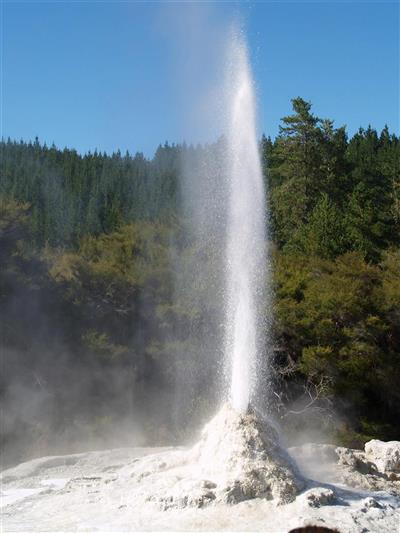 Geiser, Rotorua