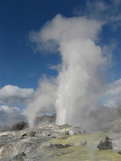 Geiser, Rotorua