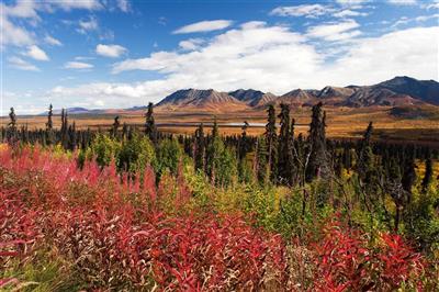 Glenn Highway, Alaska