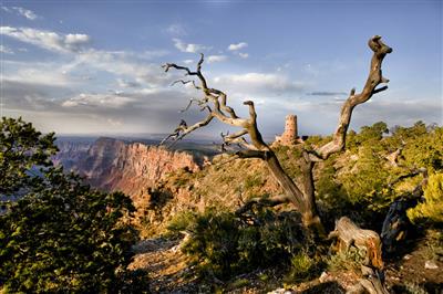 Grand Canyon National Park