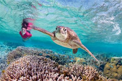 Great Barrier Reef, Australië