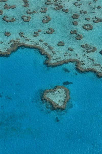 Heart Reef, Whitsundays