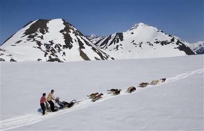 Hondensledetocht, Girdwood, Alaska