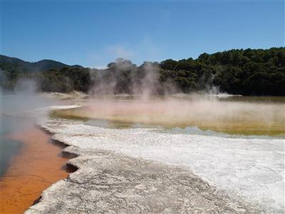 Hotsprings in Rotorua