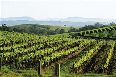 Hunter Valley