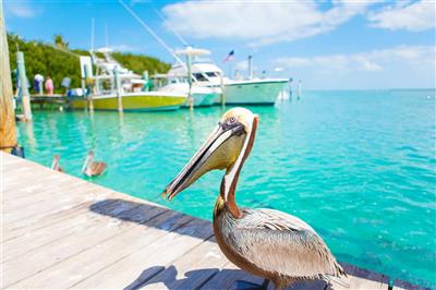 Islamorada, Florida Keys