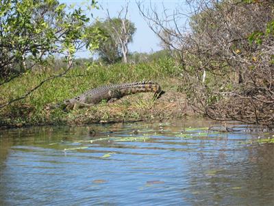 Kakadu National Park