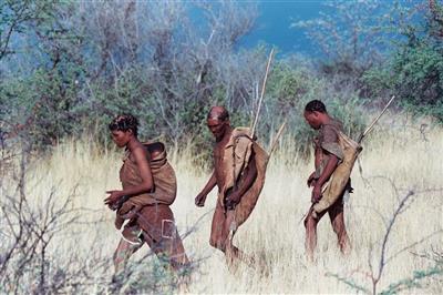 Kalahari Bushman, Central Kalahari, Kalahari Safari, Botswana