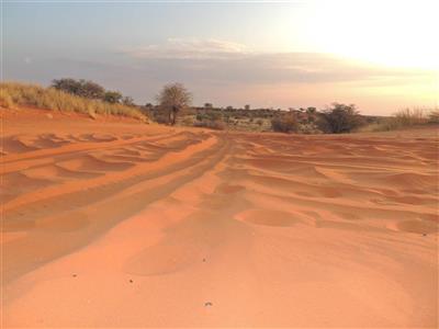 Kalahari Desert