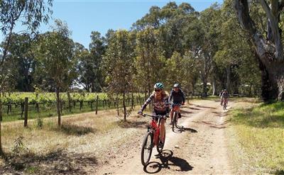 McLaren Vale Bike & Wine)