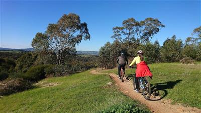 McLaren Vale Bike & Wine