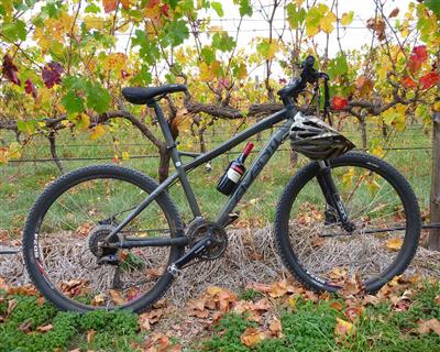 McLaren Vale Bike & Wine