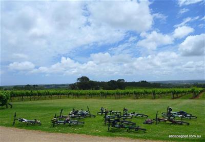 McLaren Vale Bike & Wine