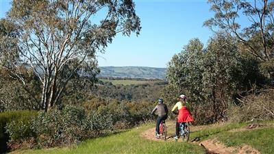 McLaren Vale Bike & Wine