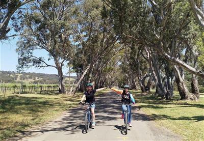 McLaren Vale Bike & Wine