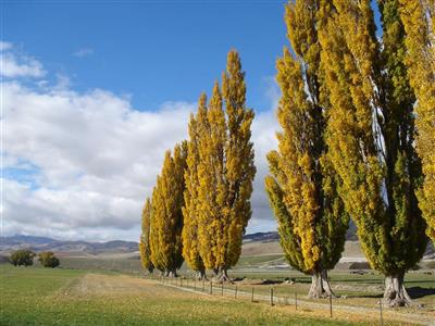 Mount Cook, Queenstown