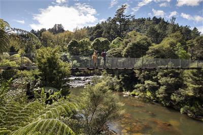 Nieuw-Zeeland, Noordereiland, Coromandel, Karangahake Gorge