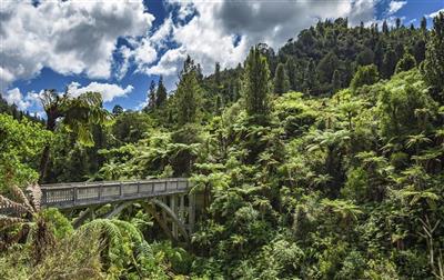 Nieuw-Zeeland, Noordereiland, Whanganui River Canoeing