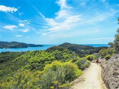 Nieuw-Zeeland, Zuidereiland, Abel Tasman N.P.