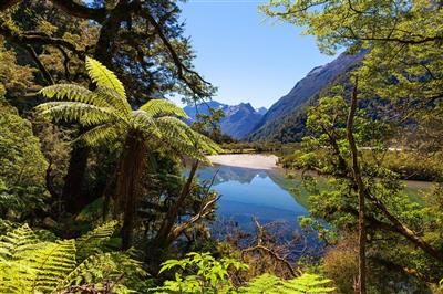 Nieuw-Zeeland, Zuidereiland, Milford Track