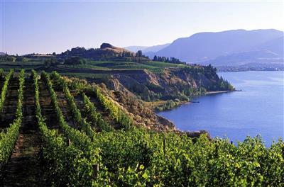 Okanagan Valley 