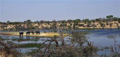 Okavango Delta