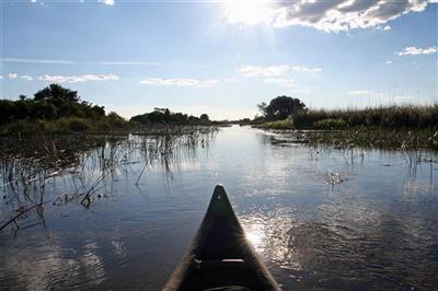 Okavango Delta, Botswana